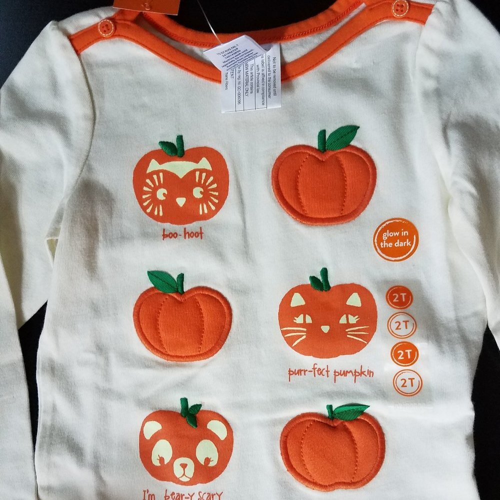 NWT Gymboree Fall Pumpkin Tutu & T-Shirt Sz 2T